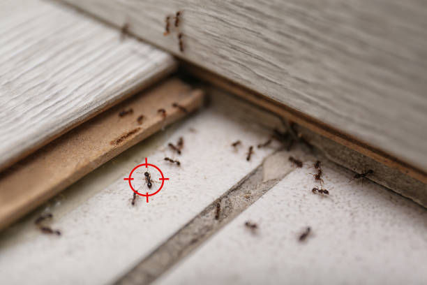 Pest Control Cost in Danville, AR