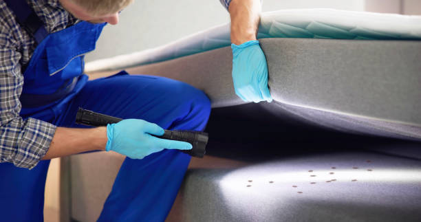 Trusted Danville, AR Pest Control Experts