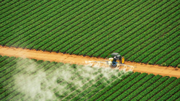 Best Best Pest Control Companies  in Danville, AR