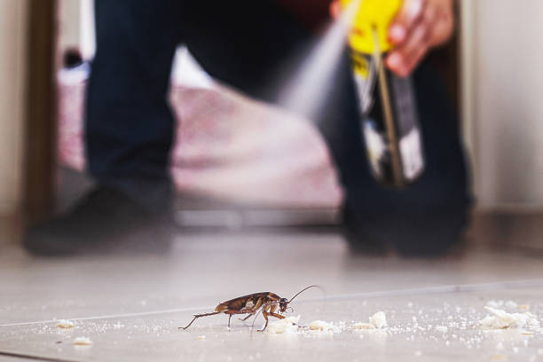 Best Mosquito Control Services  in Danville, AR