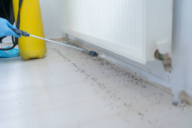 Best Insect Control  in Danville, AR